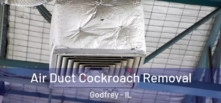  Air Duct Cockroach Removal Godfrey - IL