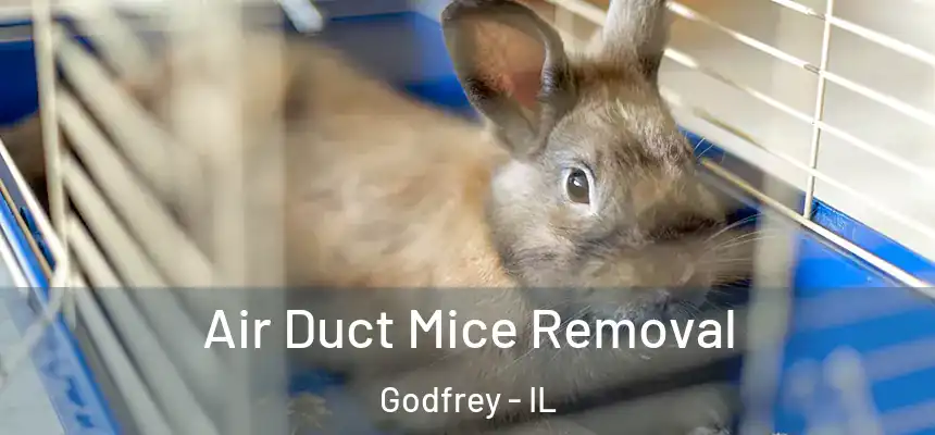  Air Duct Mice Removal Godfrey - IL