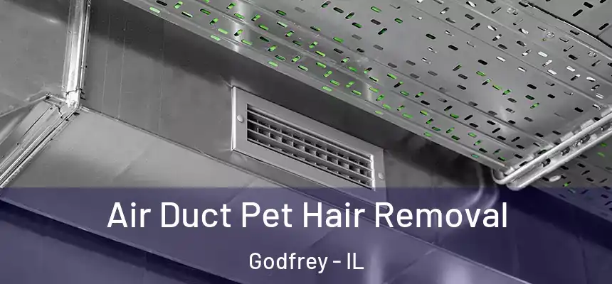  Air Duct Pet Hair Removal Godfrey - IL