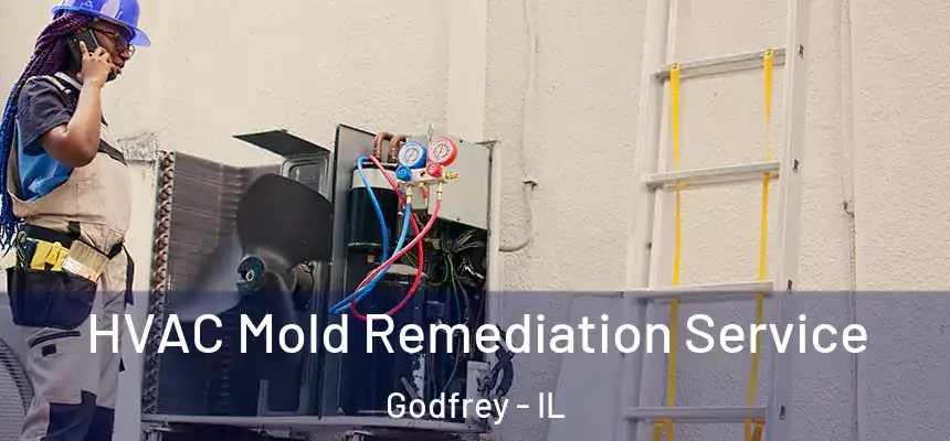  HVAC Mold Remediation Service Godfrey - IL