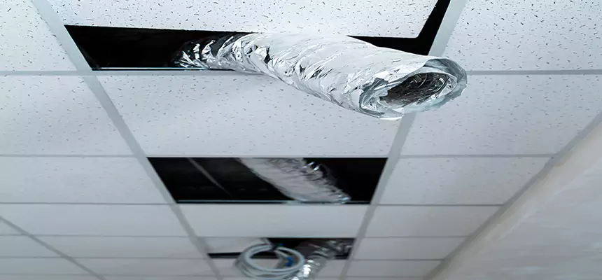 Affordable HVAC Sanitizing After Pest Removal in Godfrey