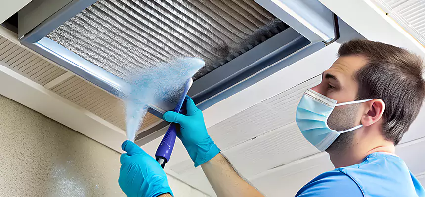 Proactive Dryer Vent & Auxiliary Duct Pollen Cleanup in Godfrey, IL