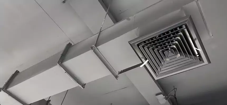 Our Rodent Droppings In Vents Services in Godfrey, IL