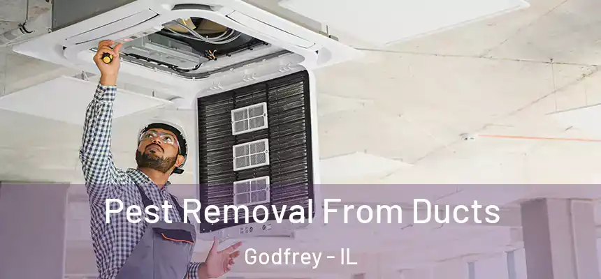 Pest Removal From Ducts Godfrey - IL