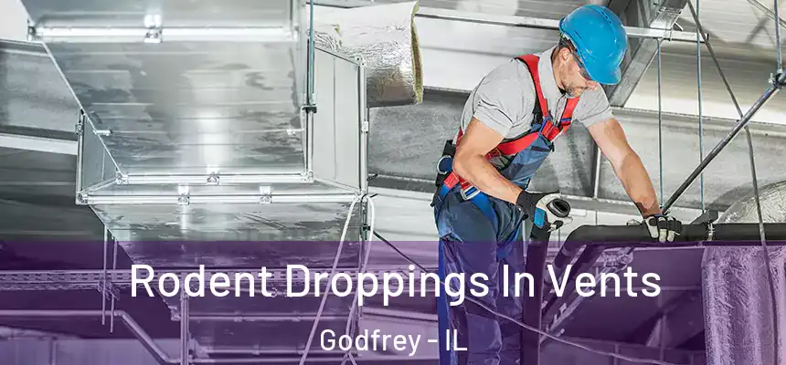  Rodent Droppings In Vents Godfrey - IL