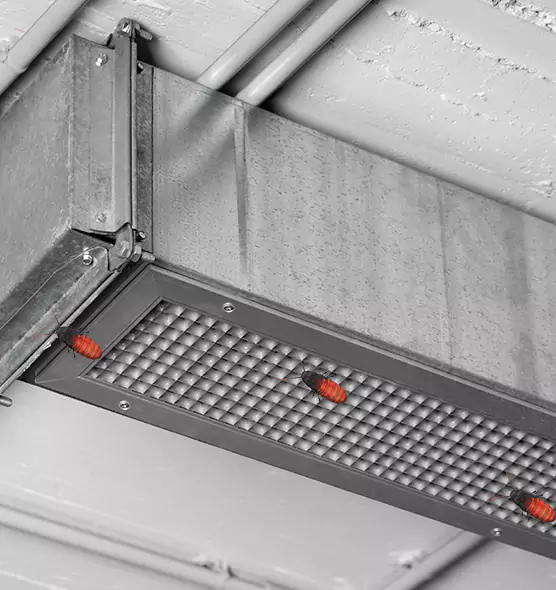 Affordable Insect Removal from Air Ducts in Godfrey, IL